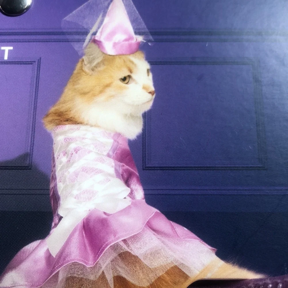 NWT Bootique cat princess costume S/M​